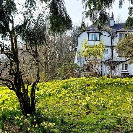 Henry's Apartment, Hill, Nr Ambleside